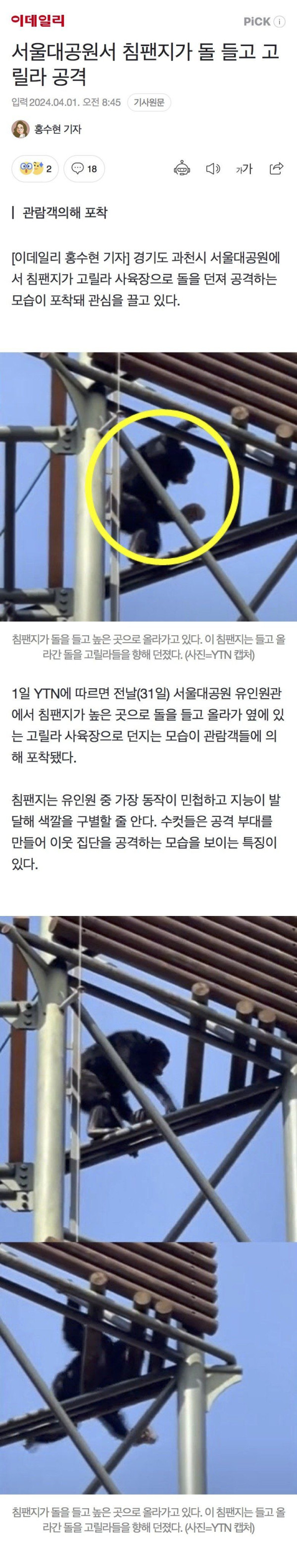 서울대공원서 침팬지가 돌 들고 고릴라 공격