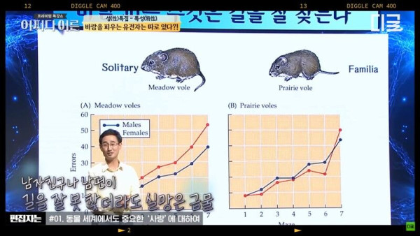 뇌과학 - 바람피는 수컷의 특징